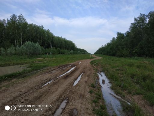 Просека от Коробово на восток, в сторону Володарского. Ехать тяжело, 15 км/час.