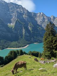 Klöntalersee Wiggis