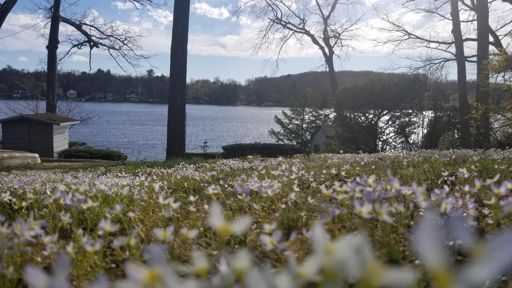 Dat late P.M. light, doe...