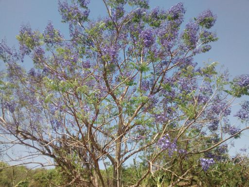 Subidinha Água Caiapó !!