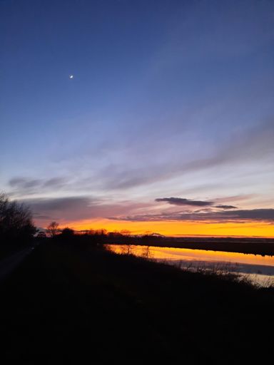 Der Mond über der Hamme