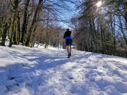 Ballon d’Alsace depuis St Maurice