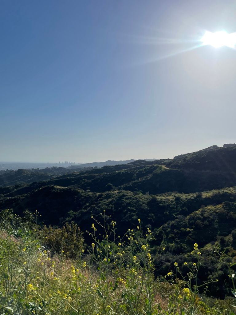 NBB run - Lake Hollywood photo 74