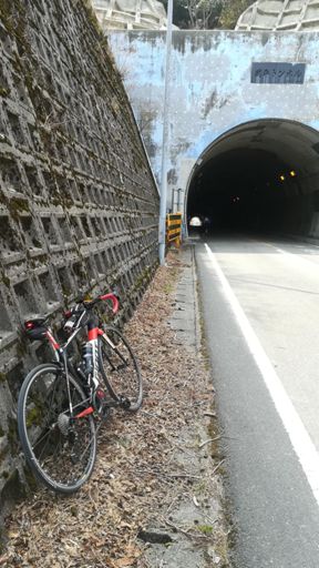 風もなく、あたたたかでした☀