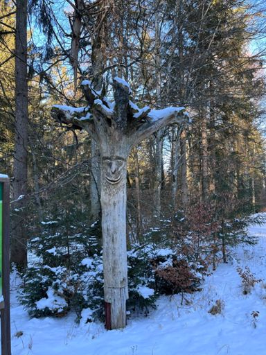 Auch ganz schön weiß im Alter