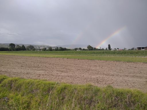 🌈 & If u head explodes, c u 🏔️