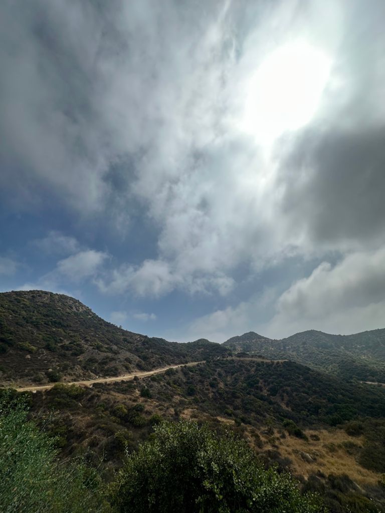 NBB run - Lake Hollywood: фото 128