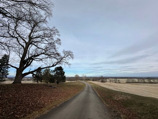 Entrance to Brandy Rock Farm — One of the most stellar looking properties I have ever seen in Culpeper. Huge mansion back in the trees. Would be one hell of a place to run through, but from what I could tell looked like a Private Lane from there onward. 