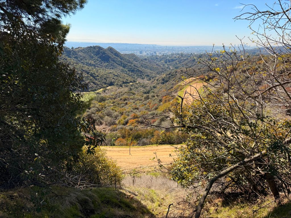 NBB run - Lake Hollywood photo 48