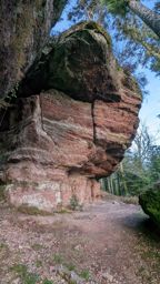 Trail dans l’après-midi
