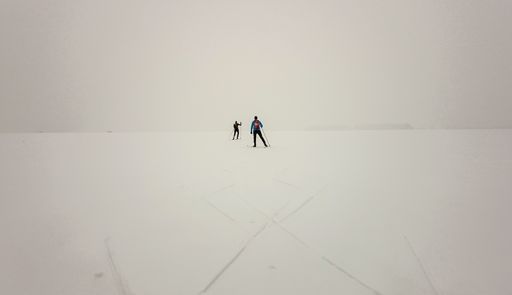 Севернее Золотухино.