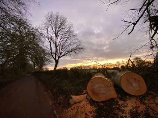Green Lane sunrise 📍 Stratton-on-the-Fosse
