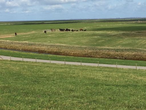 Vanaf de zeedijk bij Marrum