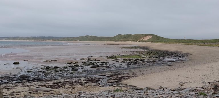 Other side of the dunes.  I tried a route alternative, exploring how NCN Route 1 went through Castletown: a beautiful way.