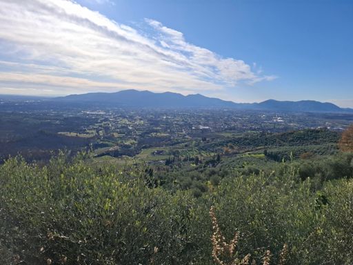 Capannori da @Matraia