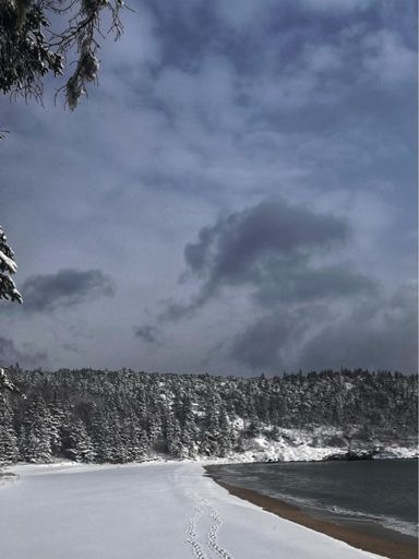 First tracks on Sand Beach. Rare to have that on Christmas, but the gate before the toll booths was closed.