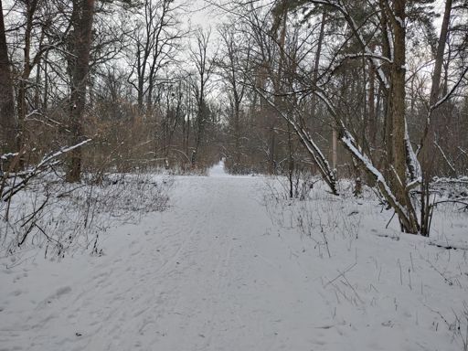 Початок цей раз був з зупинки Каланча