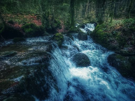 Zastlerloch im wasserüberfluss