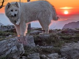 Creux du van, gorges de l’Areuse, retour par le dos d’âne