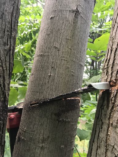 Oops.  Unprofessional move!!!!!