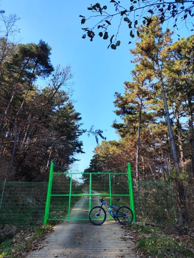 작두산 임도 입구 철망이 촘촘하게 막혀있음 ㅋㅋㅋ