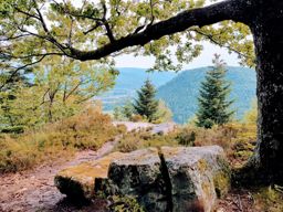 Autour de Pierre Percée