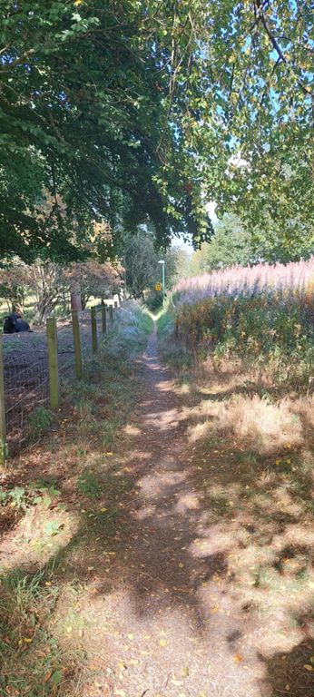 This is to be removed, along with the 31 steps this side and 17 the other side of the metal footbridge beside the Shin Railway Viaduct over the Kyle of Sutherland.
