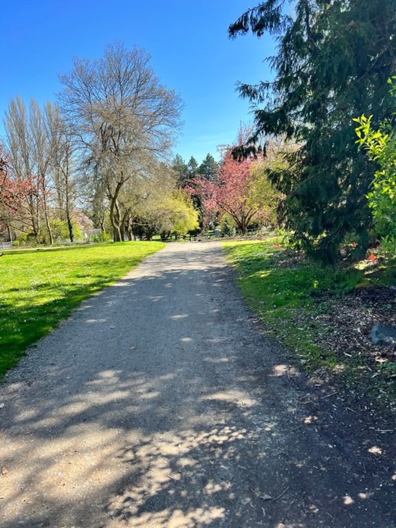 «» — фото 4