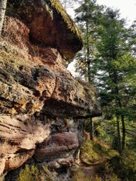 Course à pied matinale