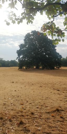 It rained last night!