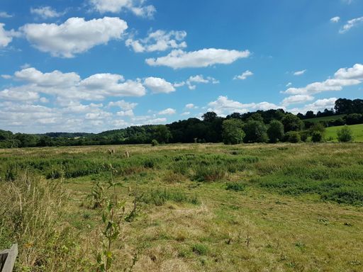 Water meadows