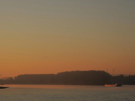 Sonnenaufgang am Rhein