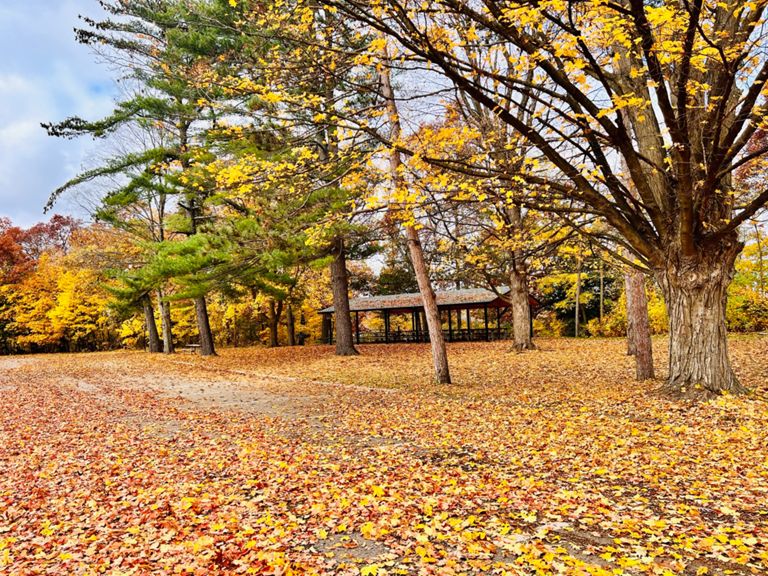 Island Lake Blue Trail 9.0 mi Cycling Route on Strava