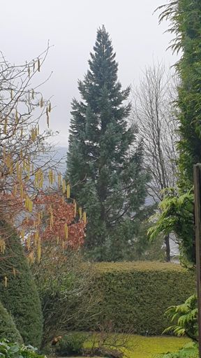 Kelkheim (Taunus)_ID23809_BM_Am Wolfes 21