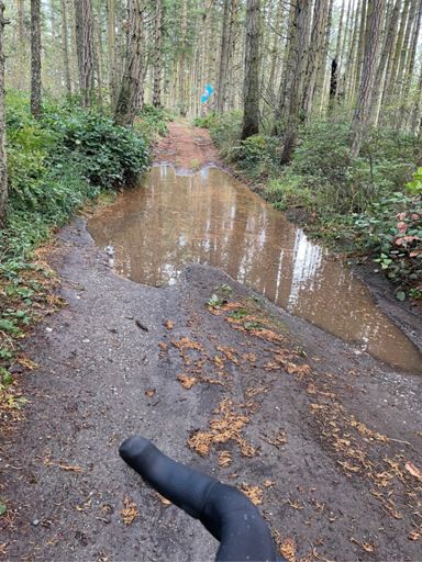 the best way out is through. 