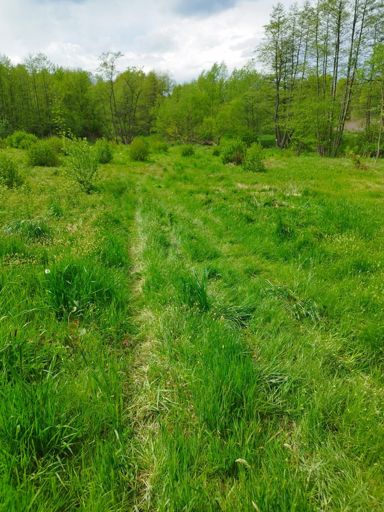 Świeżo znakowany, czerwony rowerowy.