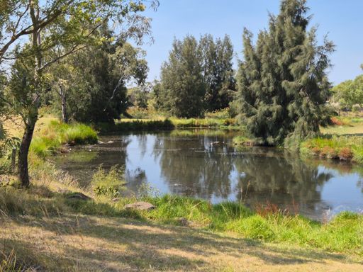 A pond in the Station Waters Reserve, a park in the suburb of Cairnlea. Visible from the Kororoit Creek Trail.