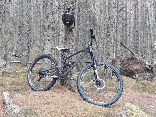 The Mega just lurking....