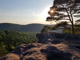 Abreschviller Walscheid