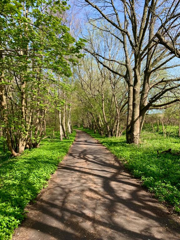 Dagnall RoadCoopers Green LaneWatford Road 50.9 mi Cycling Route on