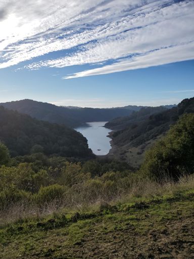 Interesting little covered dock floating in the reservoir. Wonder who gets to hang out on it.