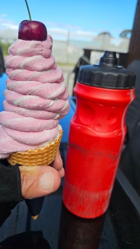 A Real Fruit ice-cream at Riwaka - my reward for not bailing out due to weather. There is probably a joke or two about 'not losing my cherry'. But I've probably tapped that theme already in years past.