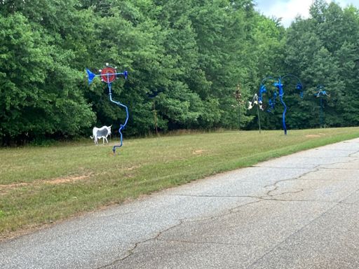 A little yard art in the middle of nowhere!