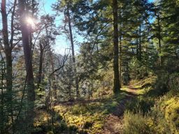 Course à pied le midi