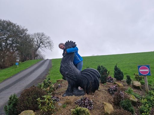 2nd big cock Gill had today...🤣