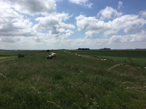 Voormalige zeedijk 1718 - 1815