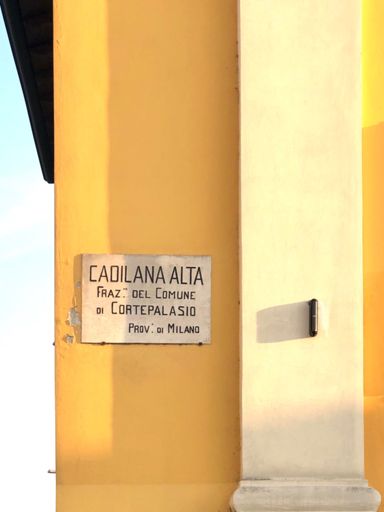 Cadilana de ura ? 😳😳🤪