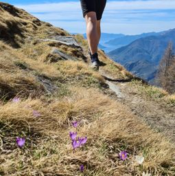 Maggia à Madom da Sgióf