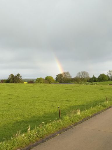 Aprrs la pluie le soleil🤪