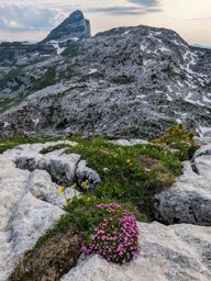 Leysin rando ferrata